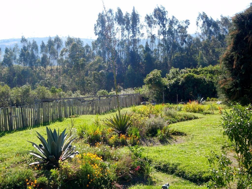 Hosteria Hotel Cuello De Luna - Cotopaxi - Country Inn ラッソ エクステリア 写真